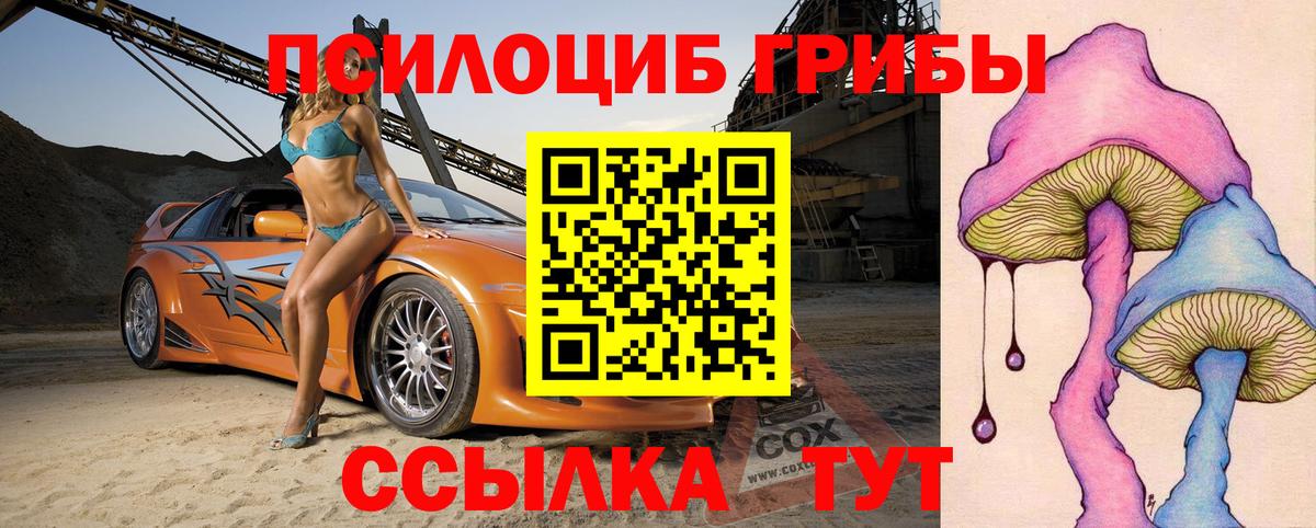 Галлюциногенные грибы прущие грибы  Вход с VPN  закладки  Галлюциногенные грибы MAGIC MUSHROOMS  Красный Сулин 